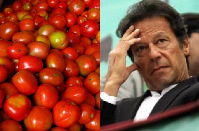 ‘Naya Pakistan’: Tomatoes beat dollar as price jumps to Rs320/kg