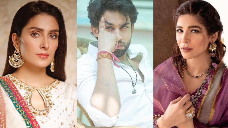 Pakistani celebrities raise voice against Israeli atrocities in Palestine
