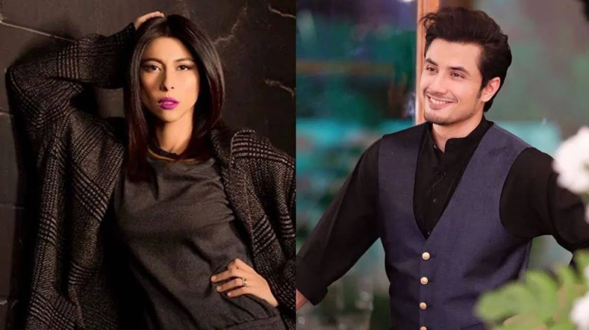 Meesha Shafi wins case against stay order obtained by Ali Zafar