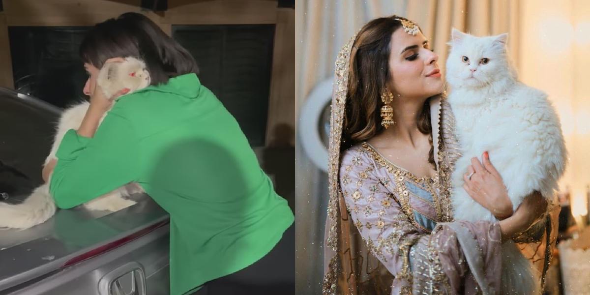 'Like a miracle': How Instagram helped an Islamabad influencer find lost cat after two months