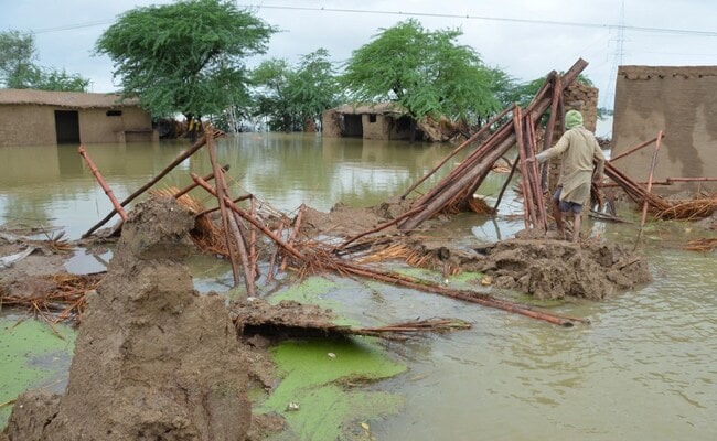 WHO assures assistance in essential healthcare in flood- affected areas