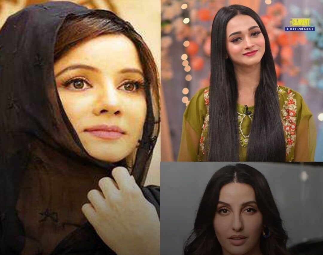 Rabi Pirzada slams women who ‘gain fame by dancing’