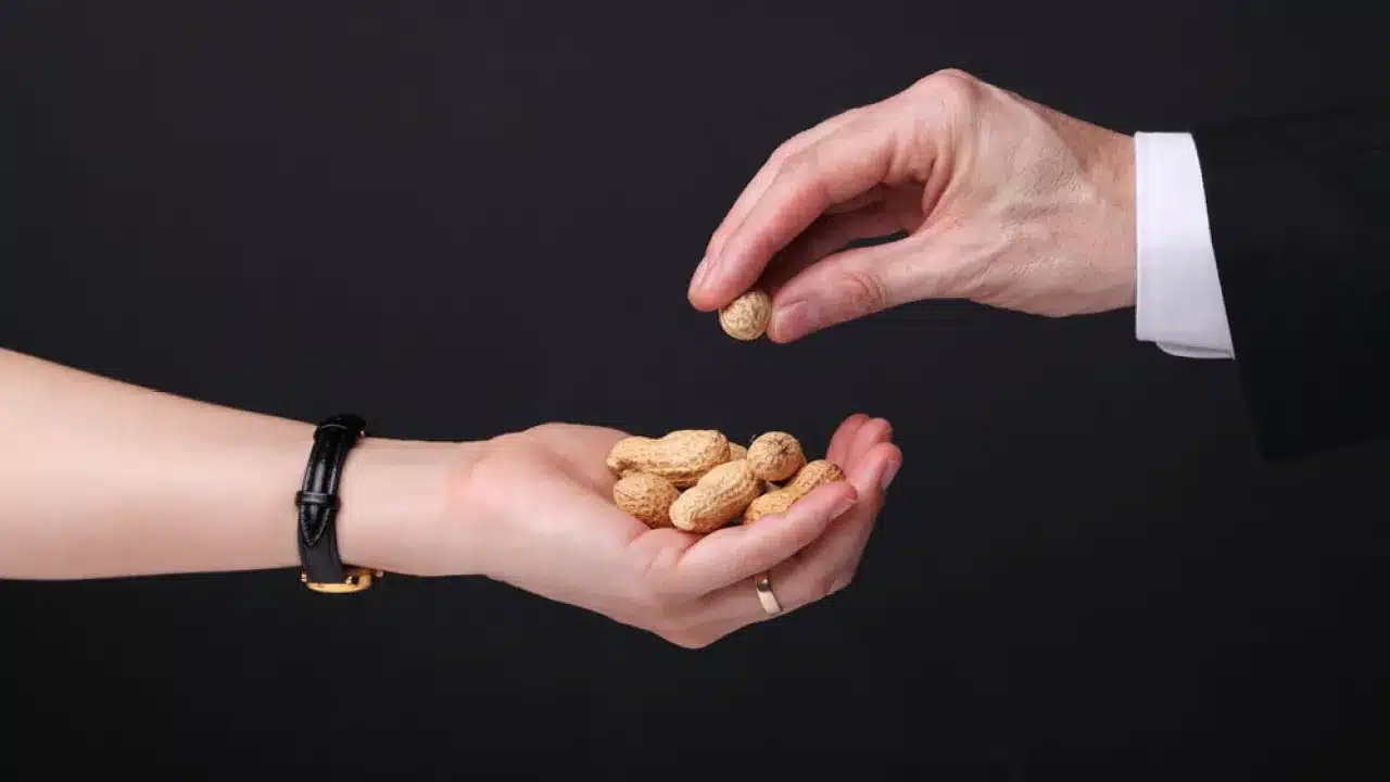 American entrepreneur paying $4 per hour criticised for exploiting Pakistanis