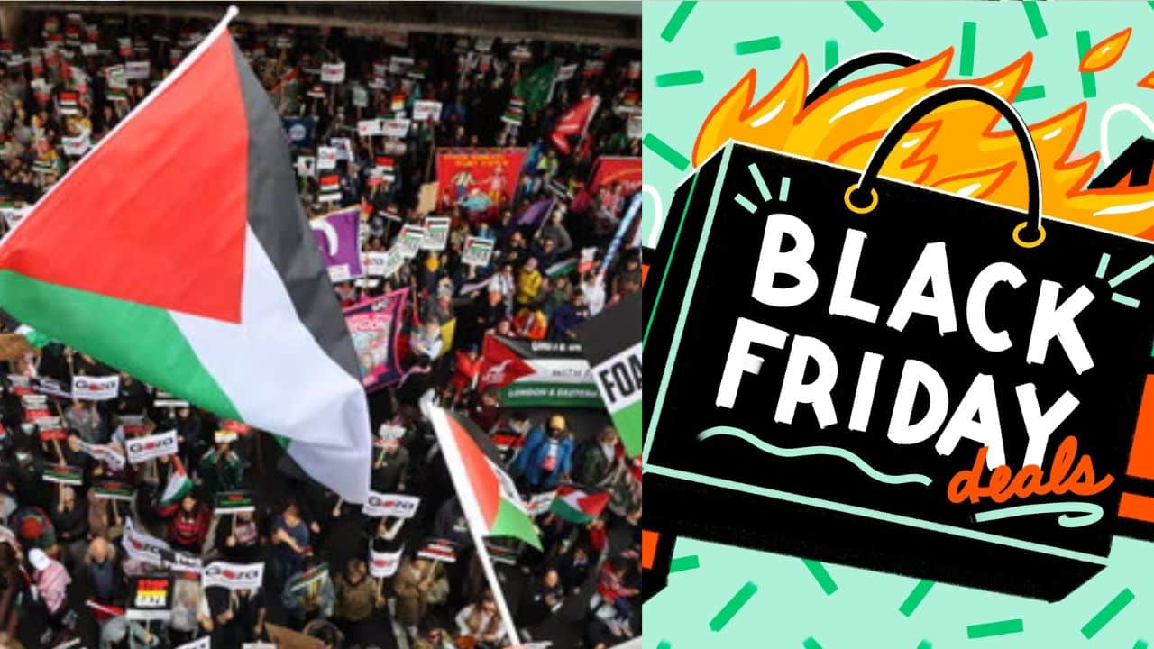 TikTok users call for Black Friday shopping boycott in protest for Palestine