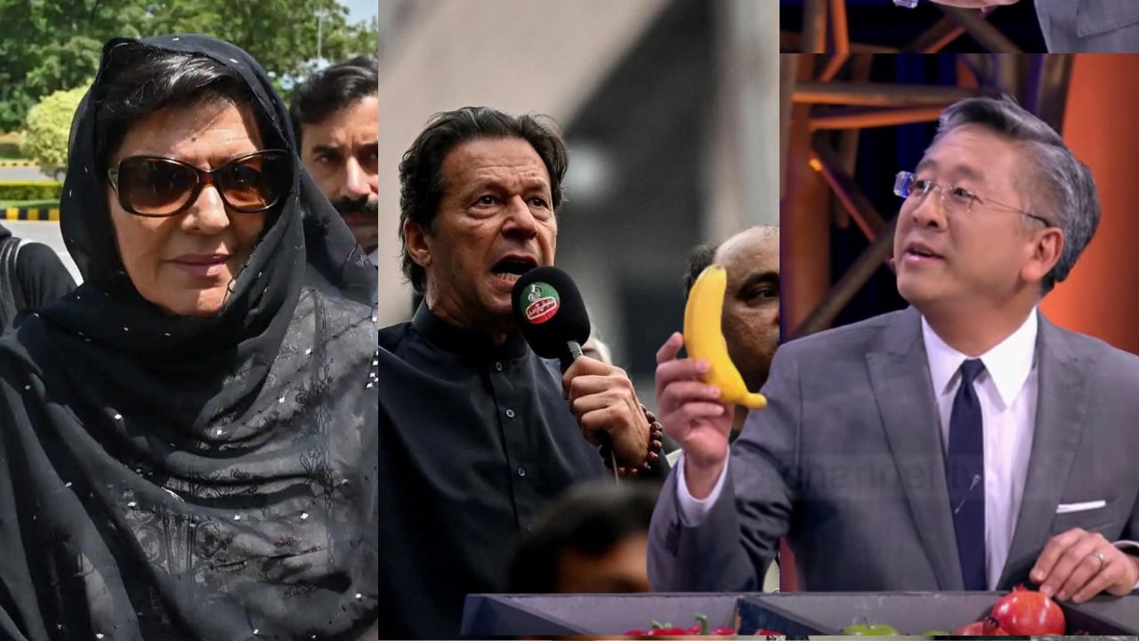 Donald Lu kay khilaf muqadma hoga Amreeka mein: Aleema Khan