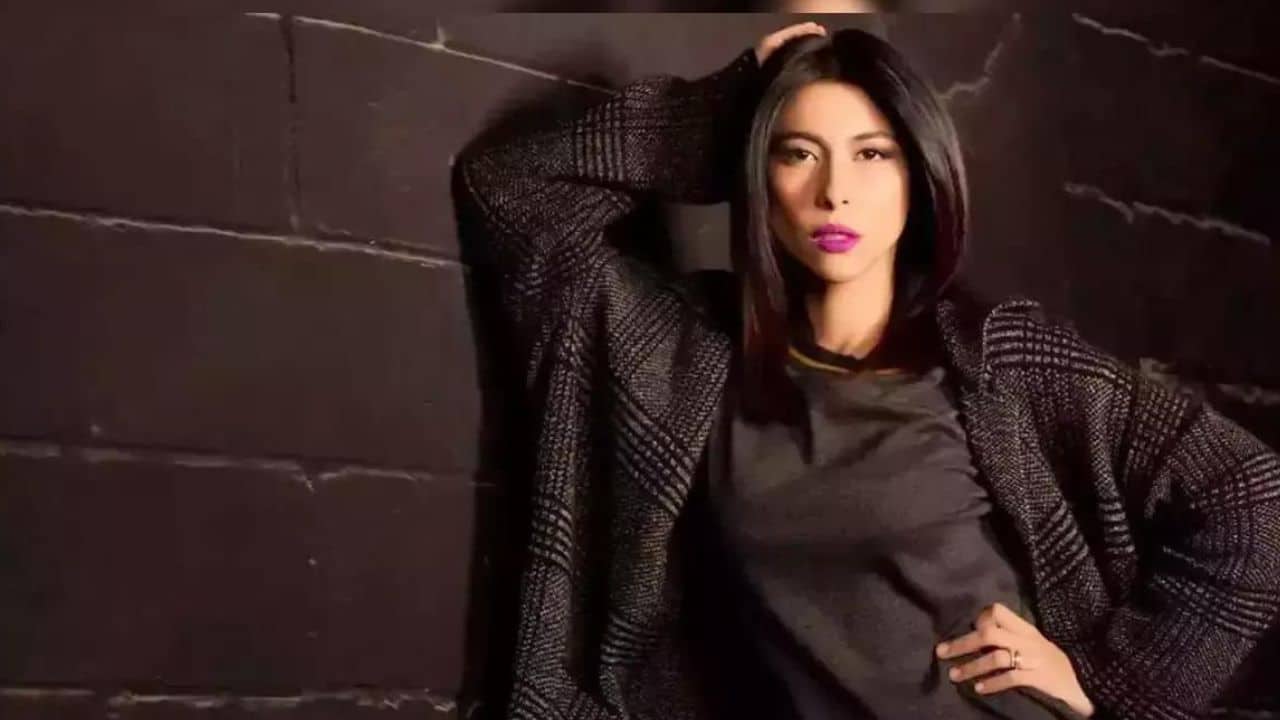 Meesha Shafi wins initial defamation case against ARY UK