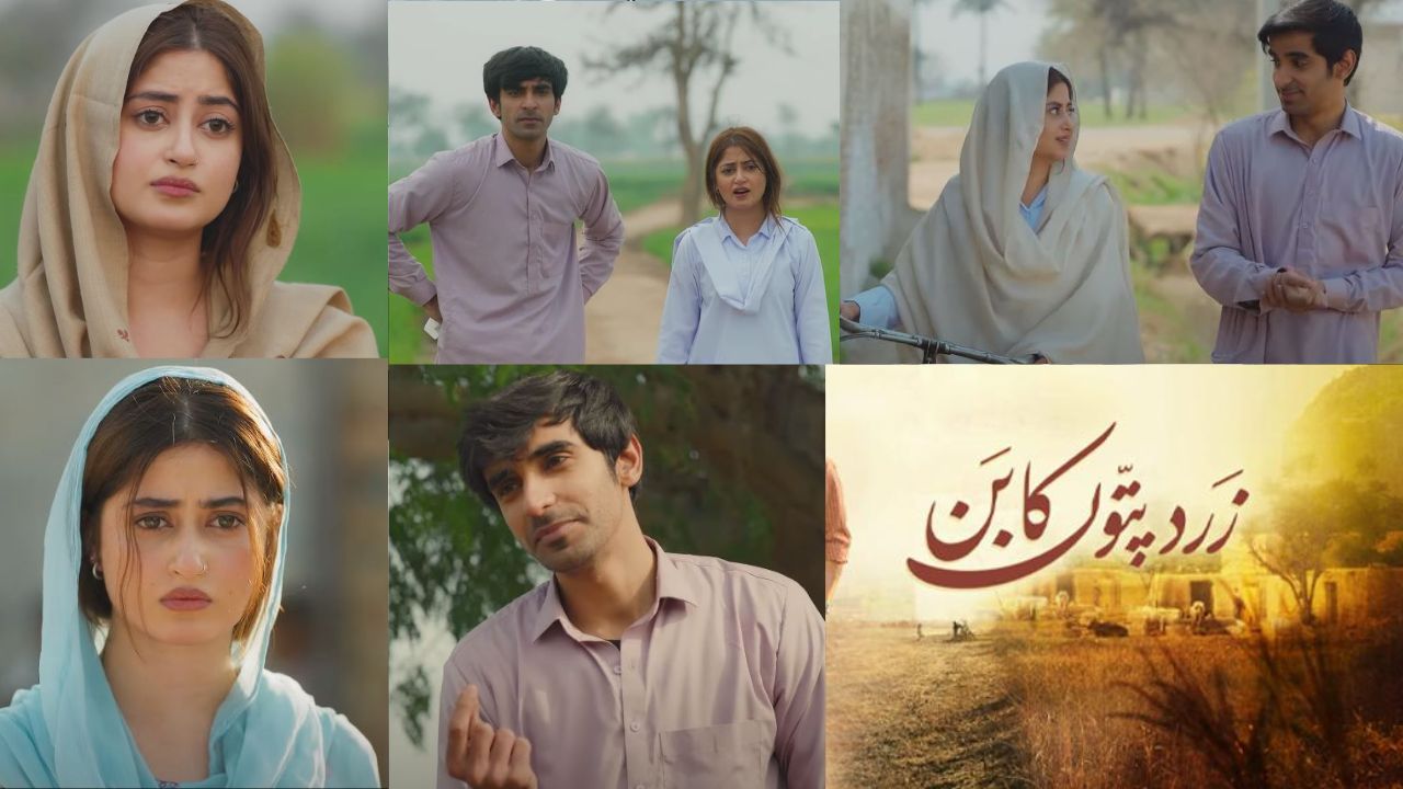 Sajal Aly, Sheikh Mubashir steal the show in latest episode of ‘Zard Patton Ka Bunn’