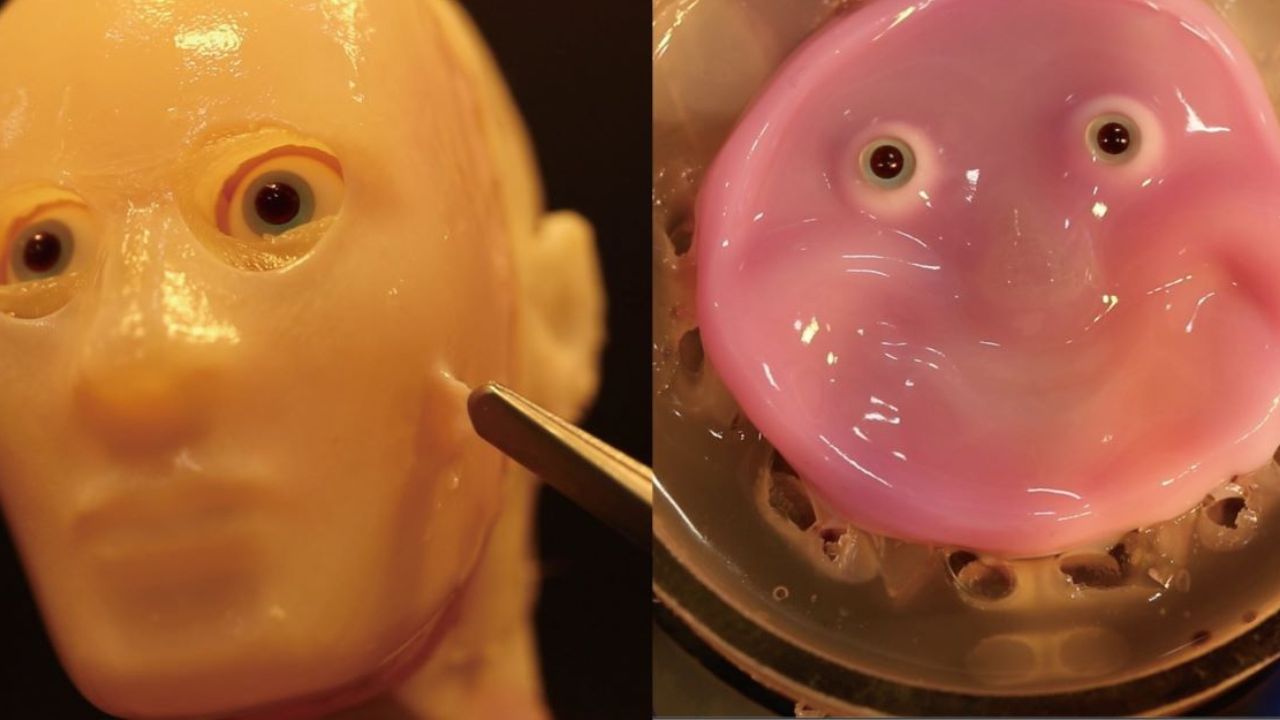 Japanese scientists make smiling robot with ‘living’ skin