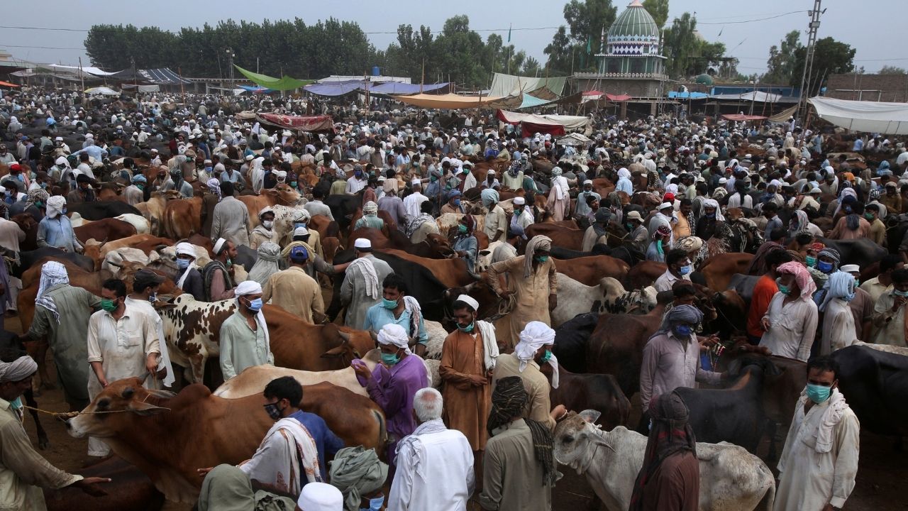 How many animals were sacrificed on Eid in Pakistan this year?
