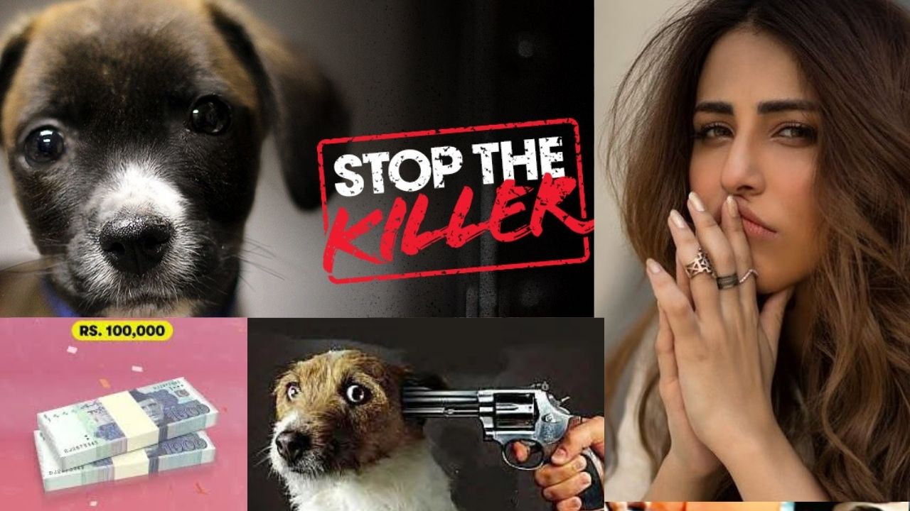 Justice for Animals: Ushna Shah to give 100,000 reward for information on puppy murderers