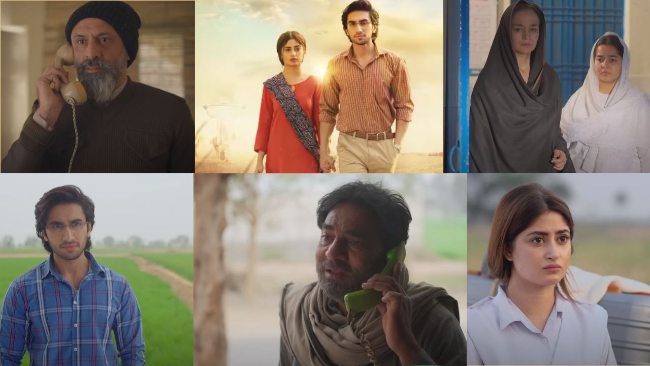 Zard Patton Ka Bunn episode 10 reveals challenges for doctors in remote areas