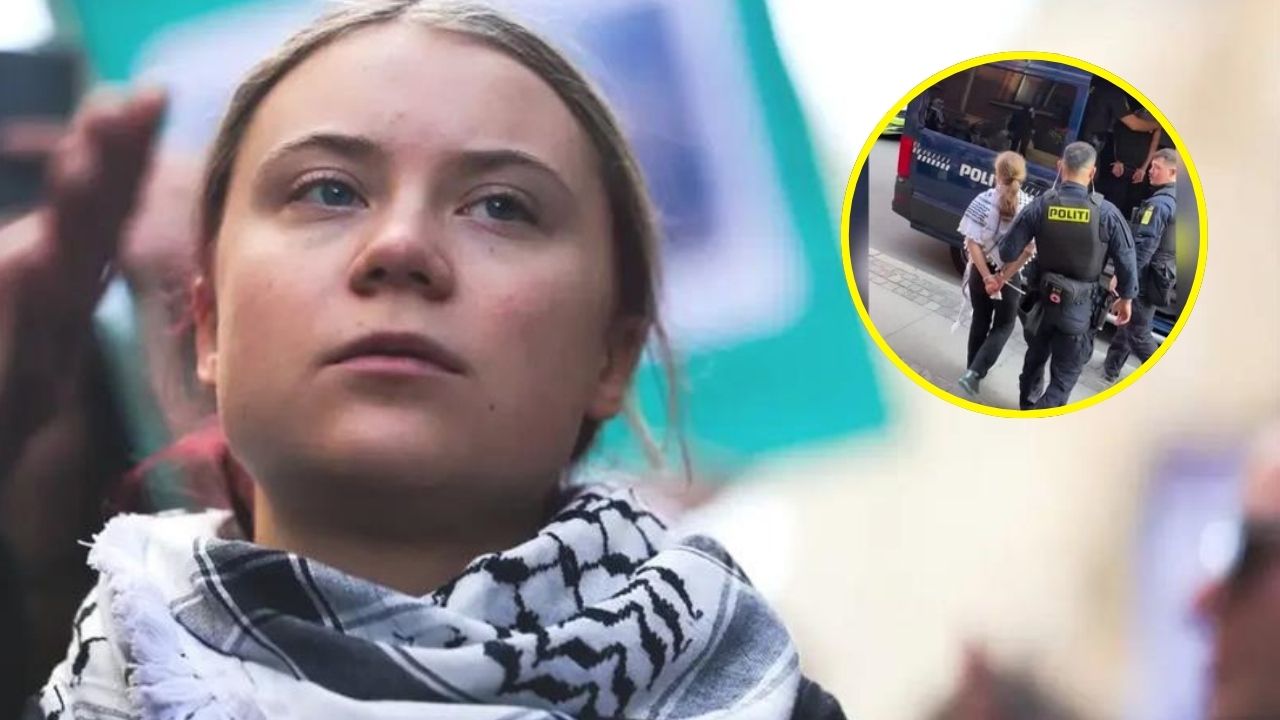 Greta Thunberg arrested at Pro-Palestinian demo in Denmark