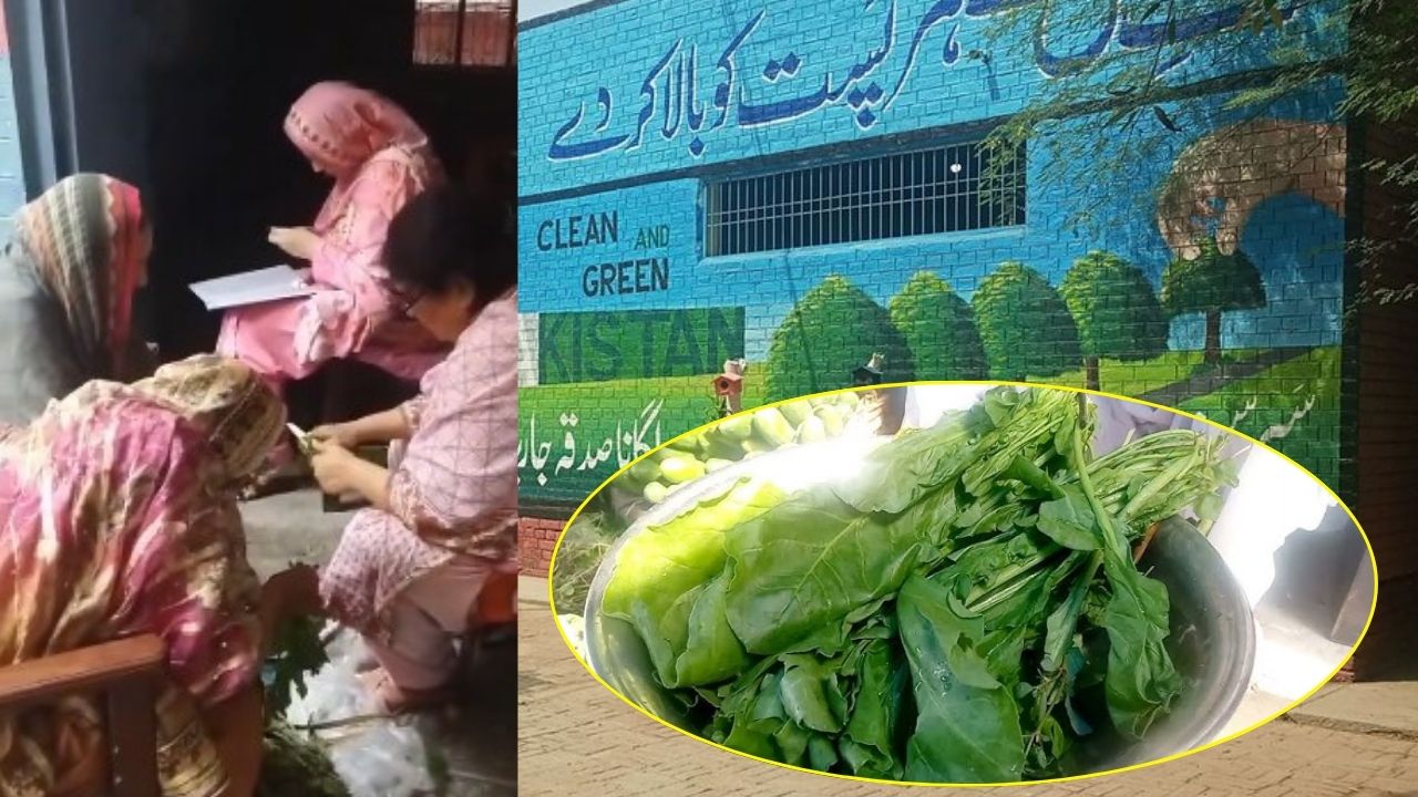 Kasur teachers suspended for cutting ‘saag’ at school