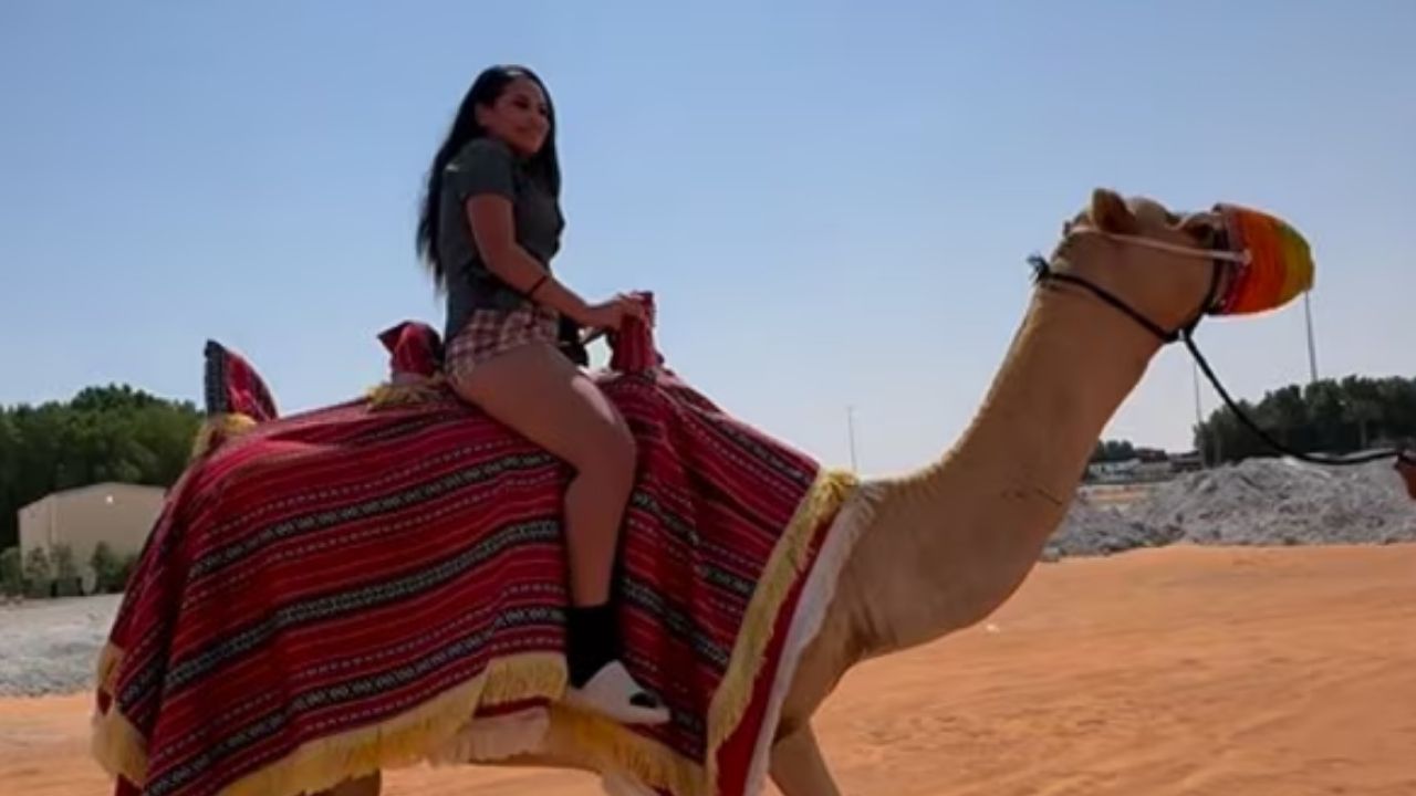 Fact Check: Can you book an Uber camel ride in Dubai?