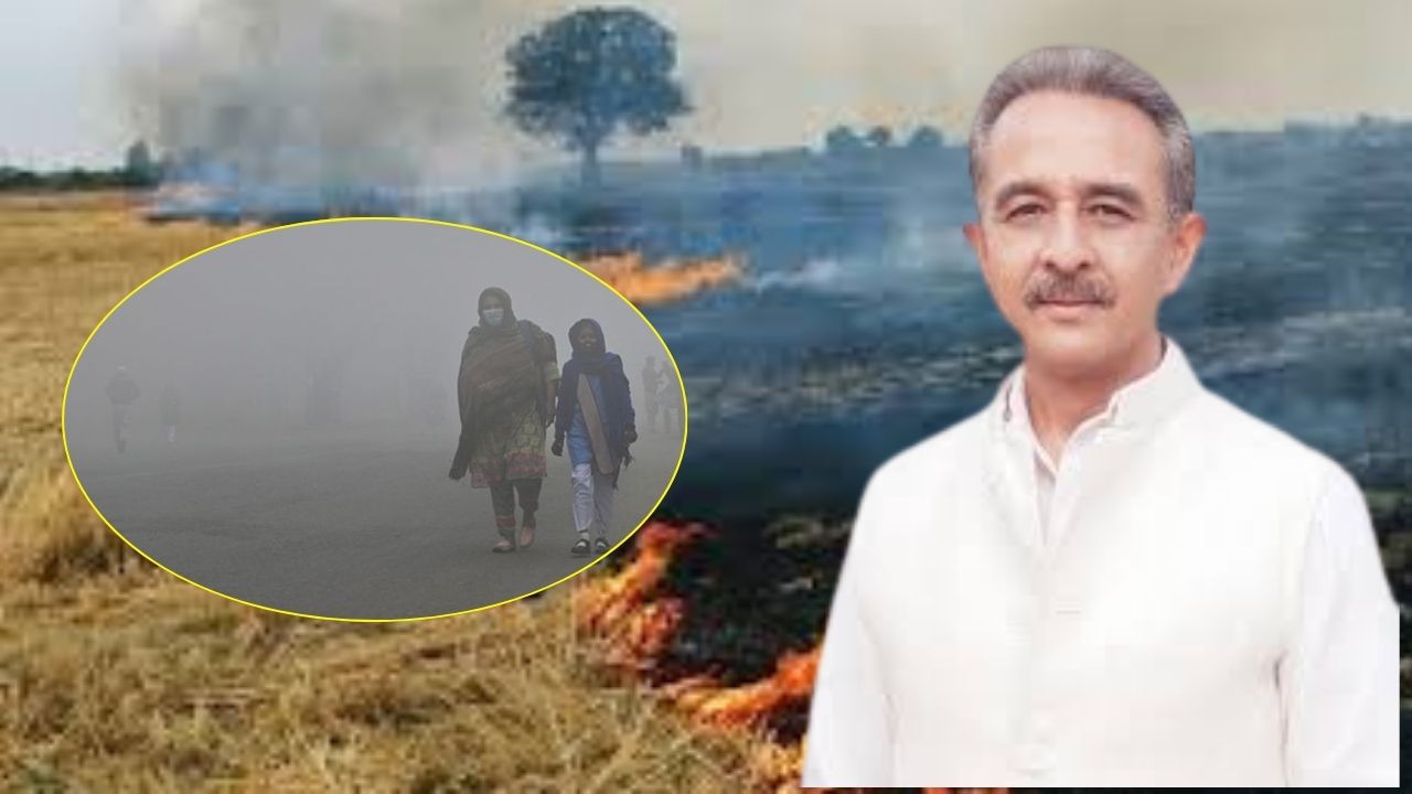 ‘Climate does not recognise boundaries’; India’s state minister calls for South Asia alliance to tackle smog